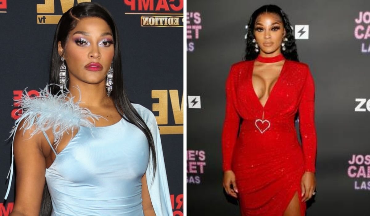 joseline hernandez net worth