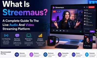 streemaus